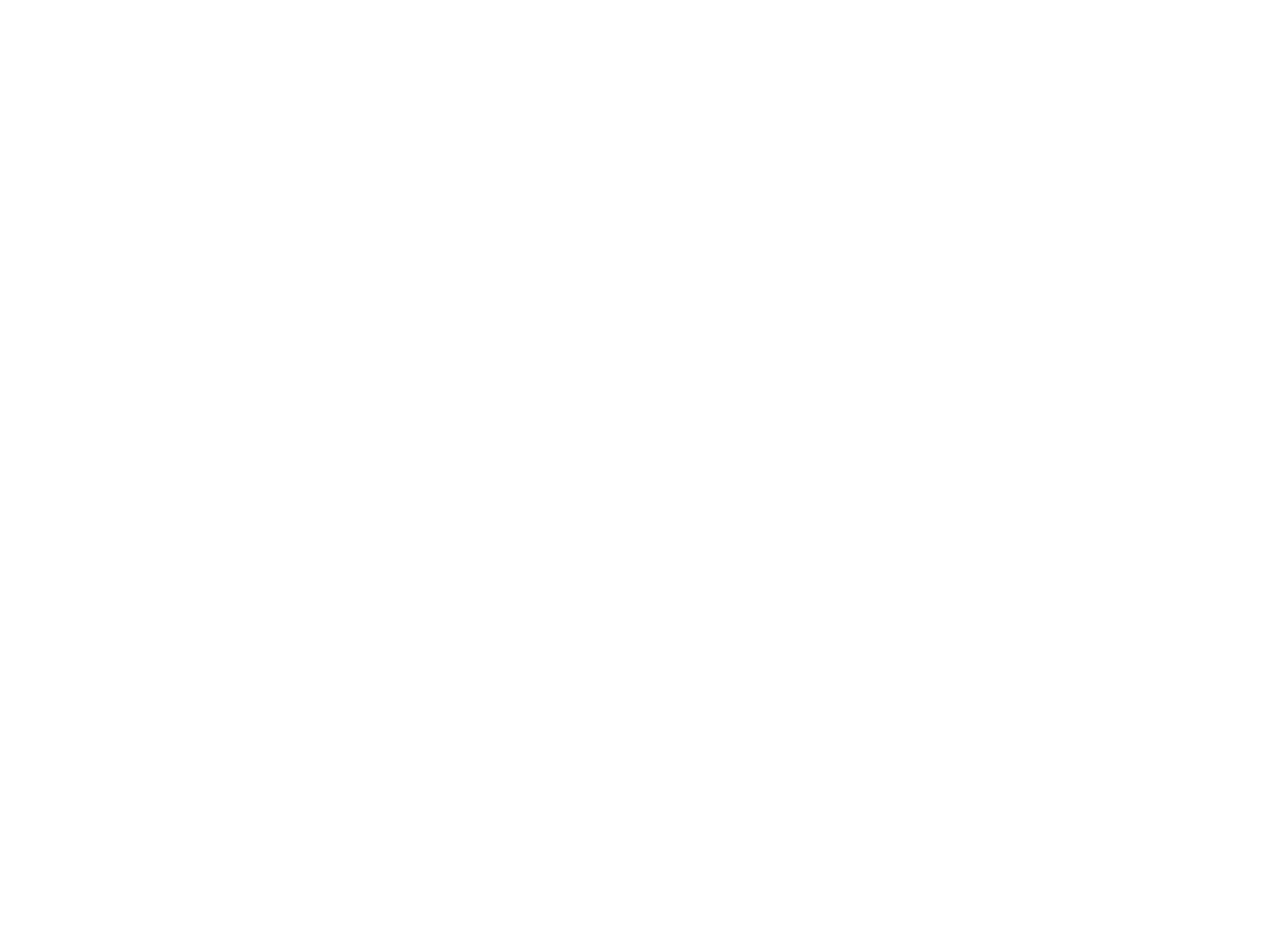 Nati Sports Logo