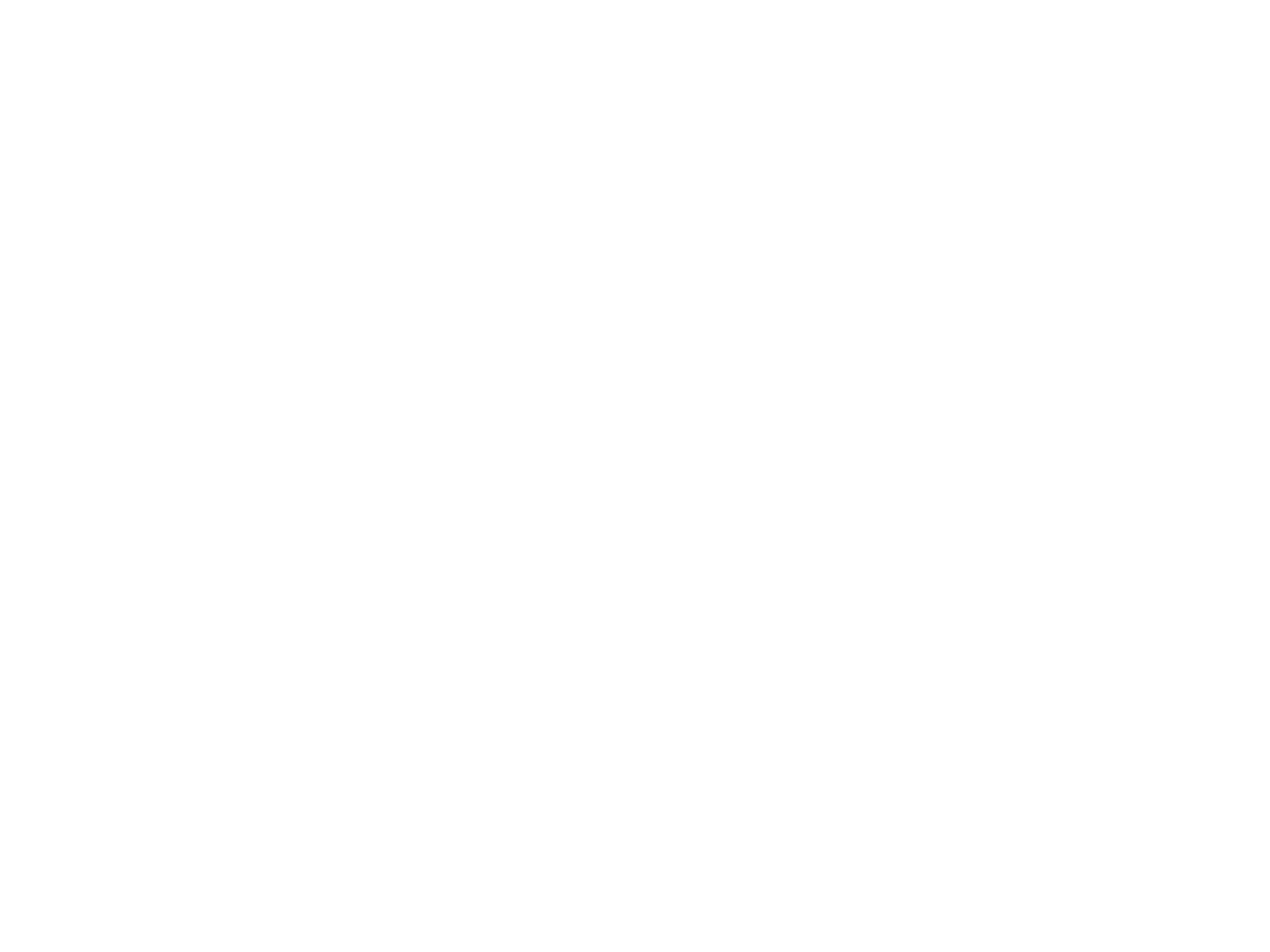 Nati Sports Logo