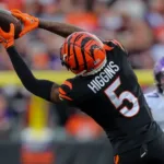 Tee Higgins catching a pass