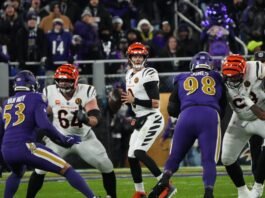 The Two Biggest Takeaways From The Bengals Thanksgiving Win